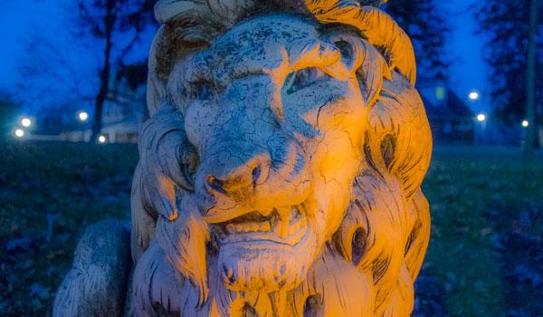 lion decorative image